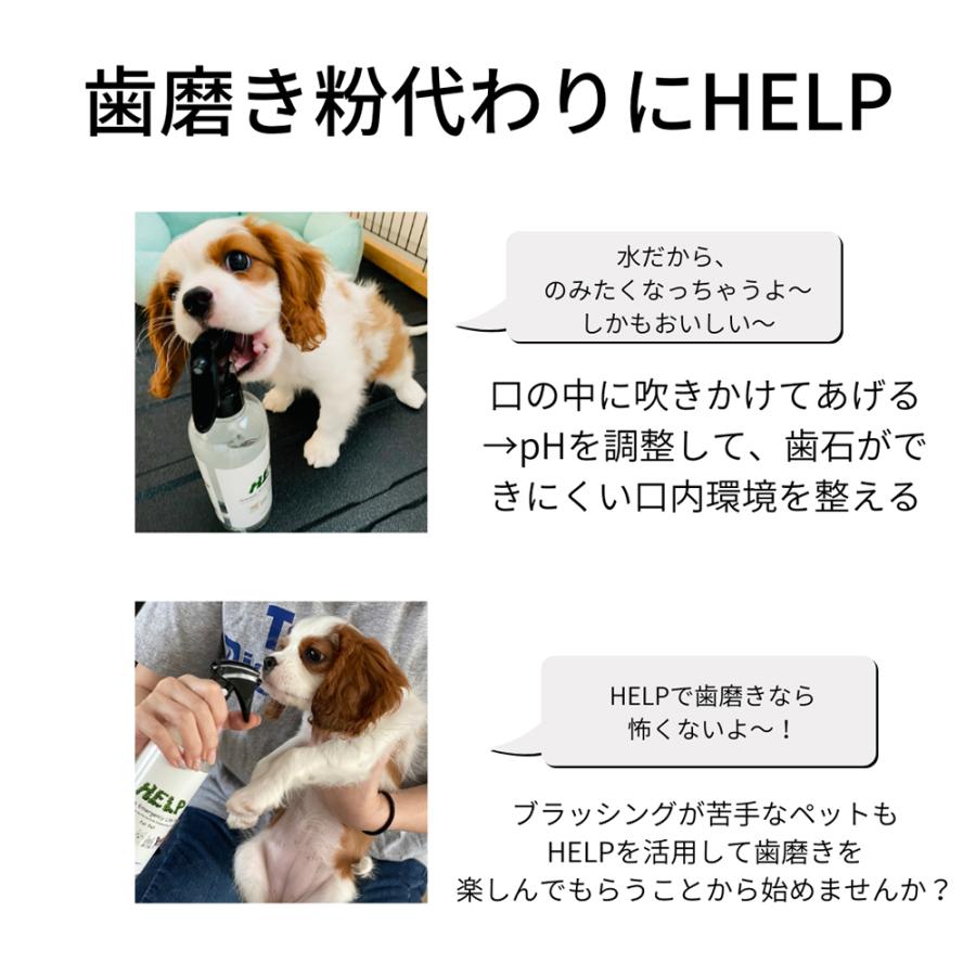 サウンドテック HELP For Pet ヘルプ フォー ペット 1000ml_2