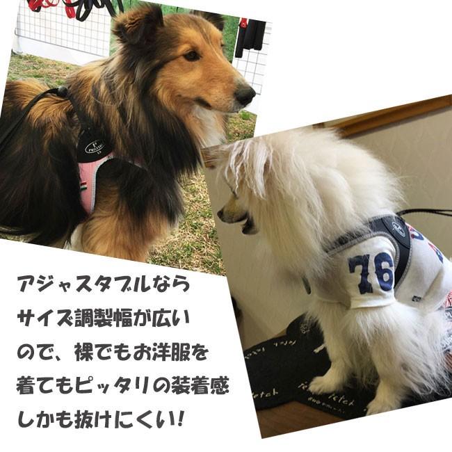 PRATIKO・プラティコハーネス カドゥルアジャスタブル サイズ2/サイズ