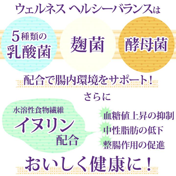 小型犬成犬用（1歳以上）チキン ドッグフード ウェルネスヘルシーバランス 2kg（500g×4個）犬用天然野菜酵素ふりかけプレゼント｜dog-sagara｜04