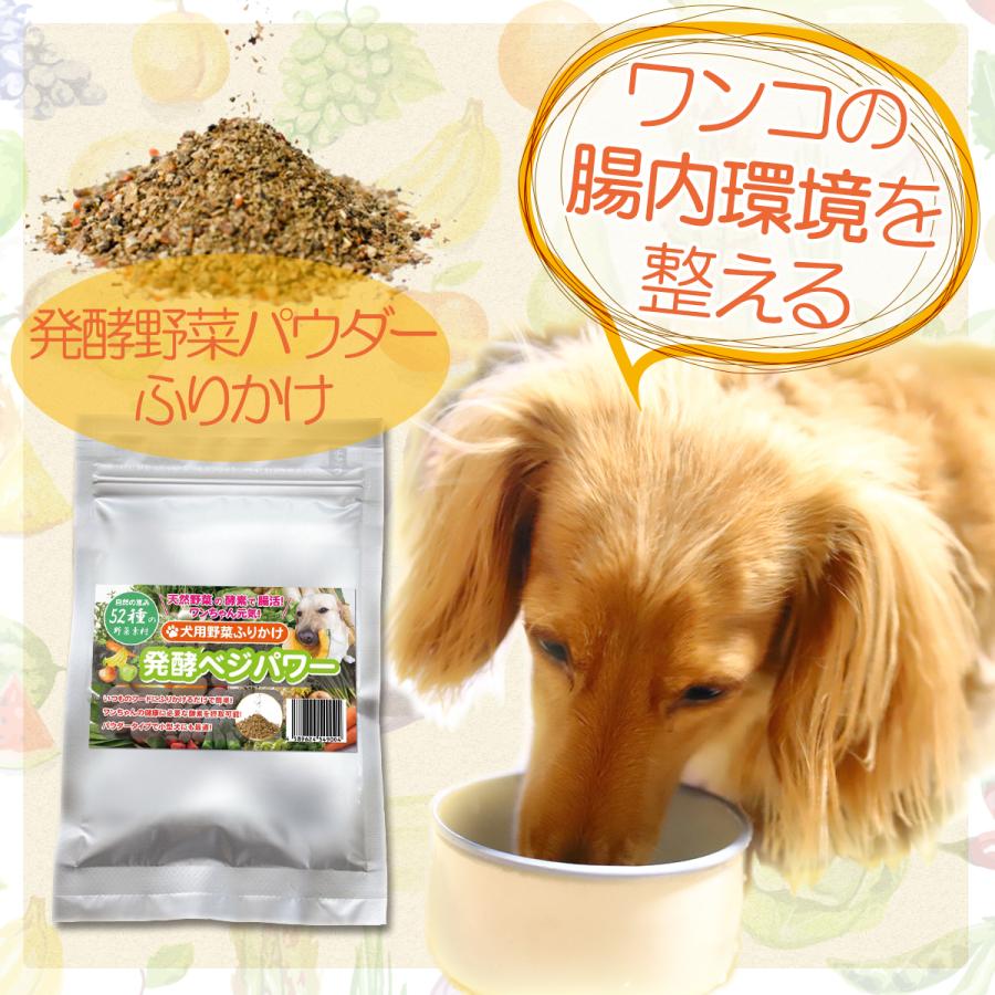 犬用ふりかけ 野菜発酵ベジパワー 100g ペット腸内環境イノベーション 植物発酵 発酵野菜パウダー 手作りごはん おやつ サプリ ドッグフード ベジパワー 新作グッ