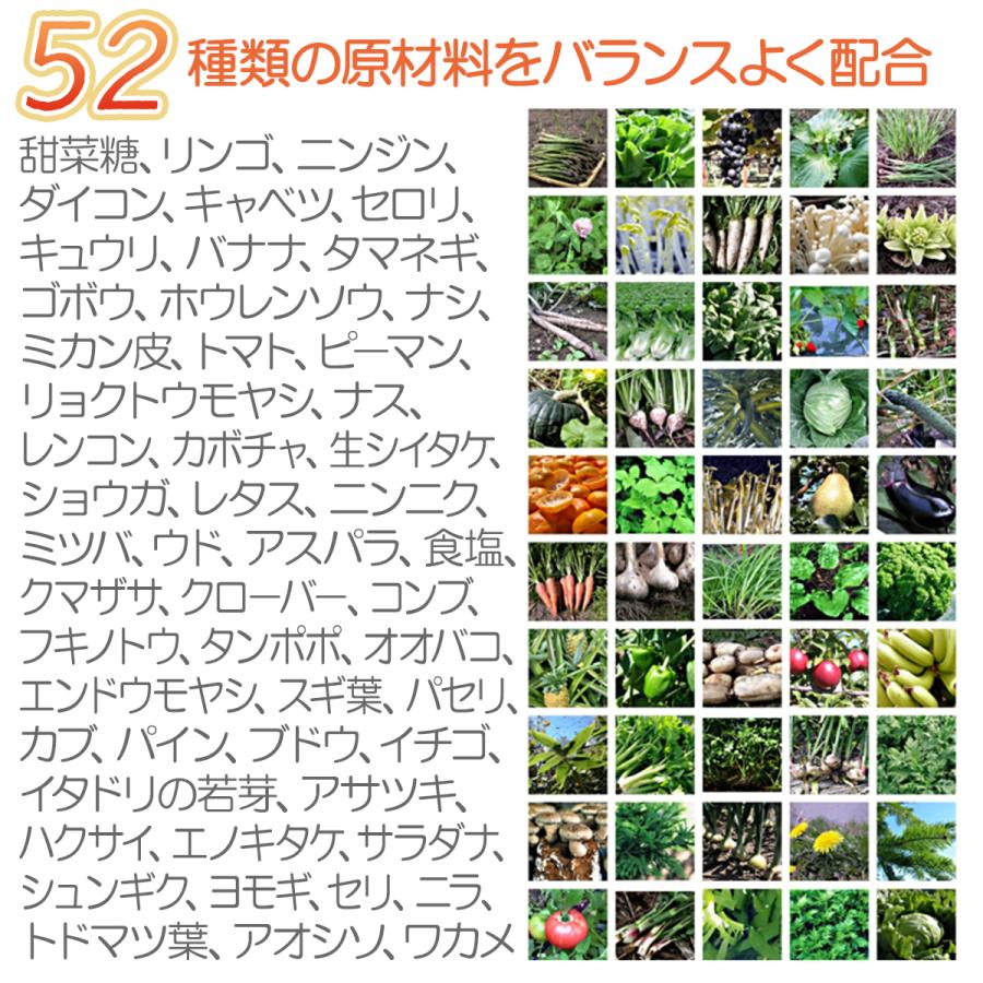 犬用ふりかけ 野菜発酵ベジパワー 100g ペット腸内環境イノベーション 植物発酵 発酵野菜パウダー 手作りごはん おやつ サプリ ドッグフード ベジパワー 新作グッ