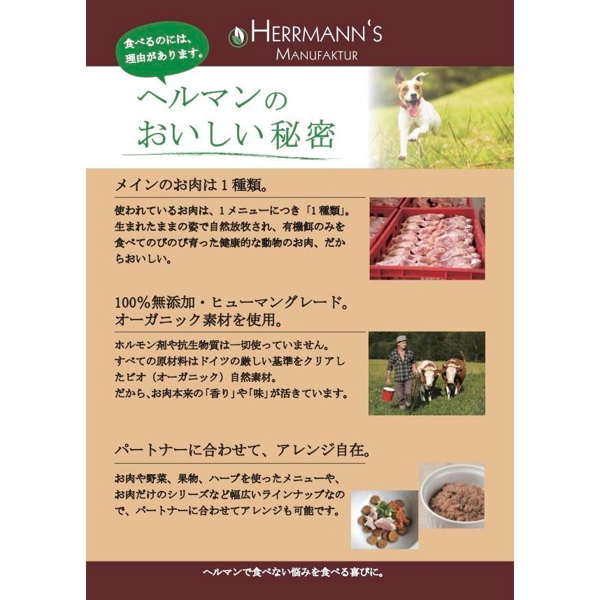 犬用 ウエットフード ヘルマン マトン ディッシュ キドニーフィット (120g×12個セット) 腎臓 羊肉 ラム