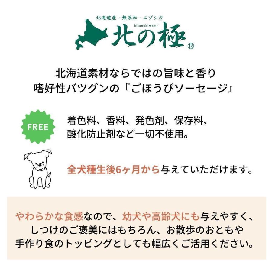 北の極 ごほうびソーセージ ブタ 国産 ポーク おやつ 40g 無添加 豚肉