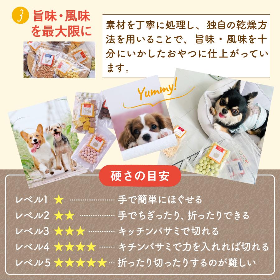 犬 おやつ 無添加 馬肉 ふりかけ 40g 手作りごはん トッピング  トリーツ 低カロリー 低脂肪 おすすめ 無添加良品 おすすめ 人気｜dogcat-shop｜04