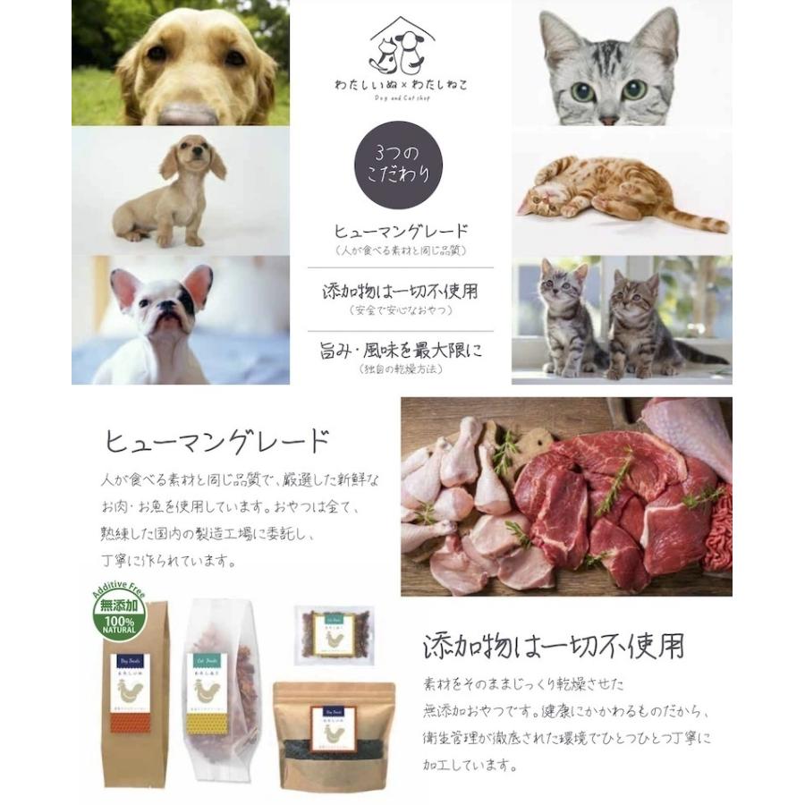 犬 おやつ 無添加 フリーズドライ 鮭 g 犬用おやつ 手作りごはん トリーツ シャケ サーモン シニア犬 パピー やわらかおやつ わたし いぬ Watashiinu115 わたしいぬ わたしねこ Yahoo 店 通販 Yahoo ショッピング