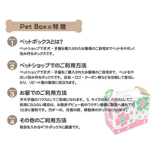 ペットボックス 茶無地 SSサイズ ダンボール製キャリー 40枚セット