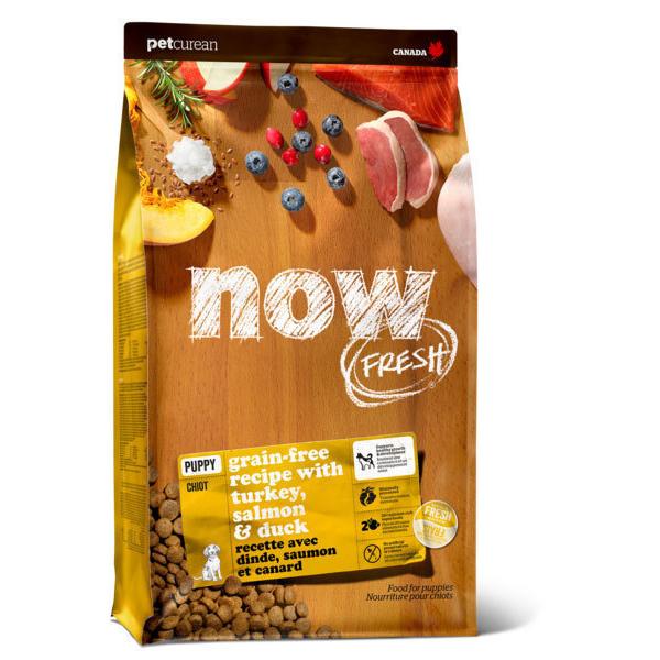 NOW FRESH Grain Free パピー 9.98kg