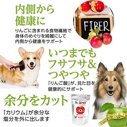 犬用 ダイエット サプリ Dr ストップりんごちゃん 無添加 メール便 送料無料 犬のご飯とケーキのドッグダイナー 通販 Yahoo ショッピング