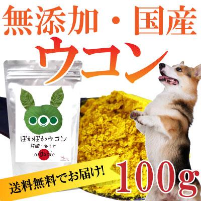 犬 ペットの肝臓に サプリ ぽかぽか ウコン 100g 有機 無添加 秋ウコン メール便 送料無料 12 C 犬のご飯とケーキのドッグダイナー 通販 Yahoo ショッピング