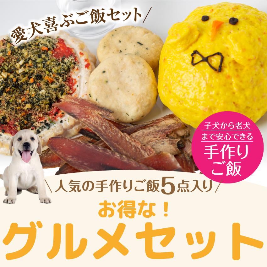 無添加 犬用手作りごはん 10袋セット ドッグダイナー 犬用 無添加 お得セット 手作りごはん 詰め合わせ 5種