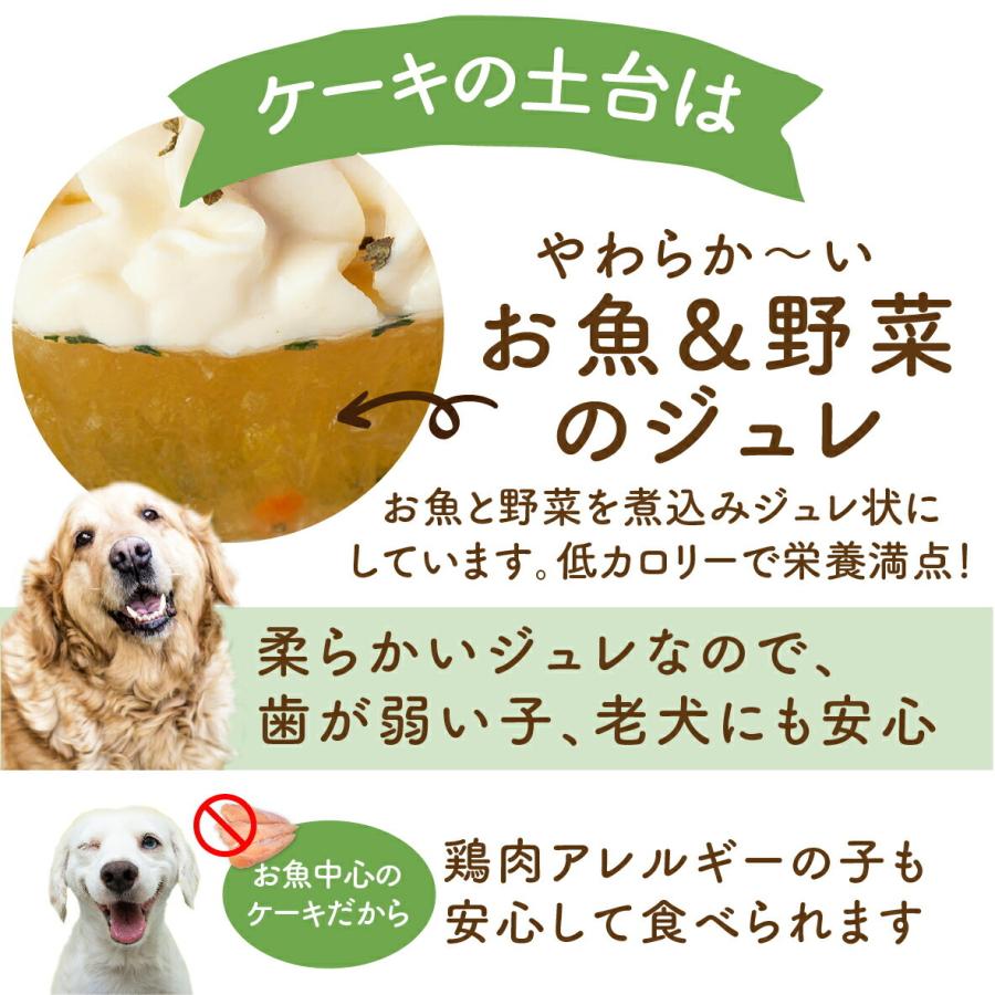 犬用 誕生日ケーキ(お魚 ケーキ S)無添加 犬用ケーキ【クール便】｜dogdiner｜07