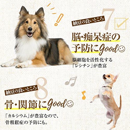 無添加 犬用おやつ(フリーズドライ 納豆 １０袋)【犬 おやつ 国産】｜dogdiner｜06