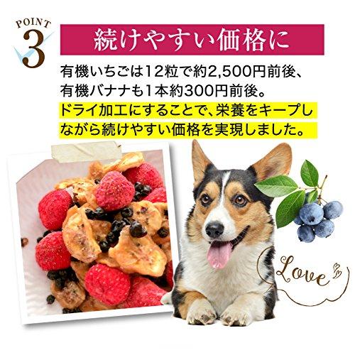 犬の無添加 おやつ(食後の楽しみ フルーツミックス)オーガニック 犬用おやつ 低カロリーのイチゴ・バナナ・ブルーベリー :500001399:犬のご飯とケーキのドッグダイナー - 通販