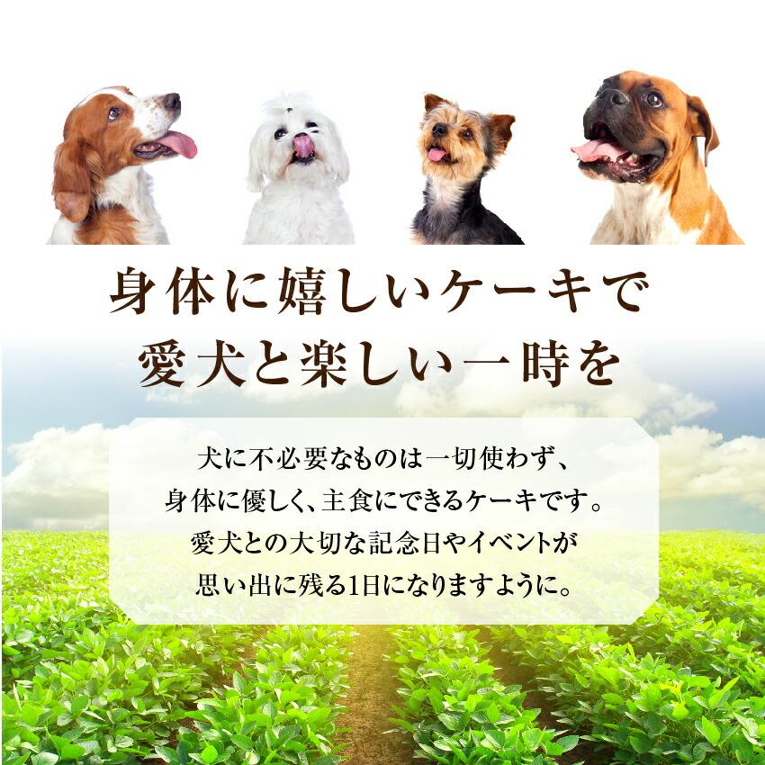 犬 誕生日 ケーキ 豚肉 牛肉のミートローフ 犬用ケーキ 名入れ可 クール便 犬のご飯とケーキのドッグダイナー 通販 Yahoo ショッピング