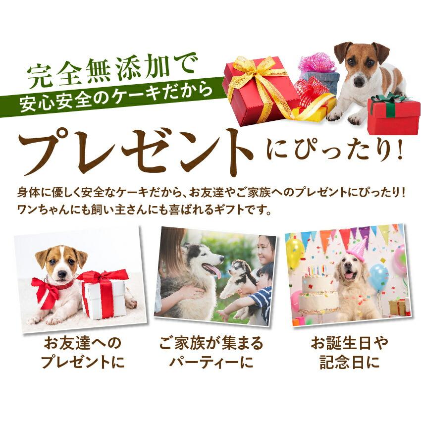 犬 誕生日 ケーキ 豚肉 牛肉のミートローフ 犬用ケーキ 名入れ メッセージ クッキー 付き クール便 犬のご飯とケーキのドッグダイナー 通販 Yahoo ショッピング