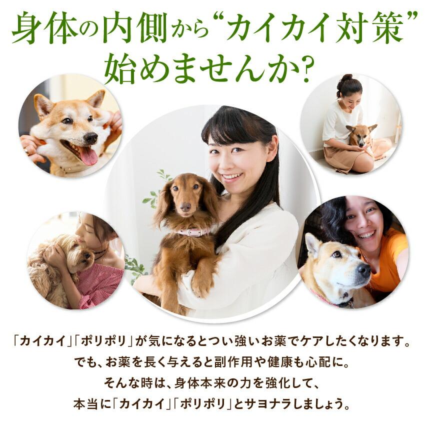 犬 猫用 アレルギー 皮膚炎 サプリメント カユイの痒いの飛んで行け 無添加 サプリ メール便 送料無料 Aojiru500 犬のご飯とケーキのドッグダイナー 通販 Yahoo ショッピング