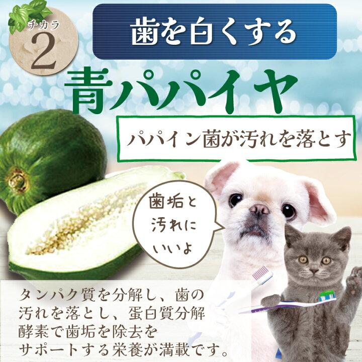 【新・獣医も推奨】犬・猫の歯石・歯垢・口の臭いに(食べる歯磨き革命 お試し)歯磨きが苦手な犬用 無添加 サプリ(5g・小型犬 約10日分)｜dogdiner｜11