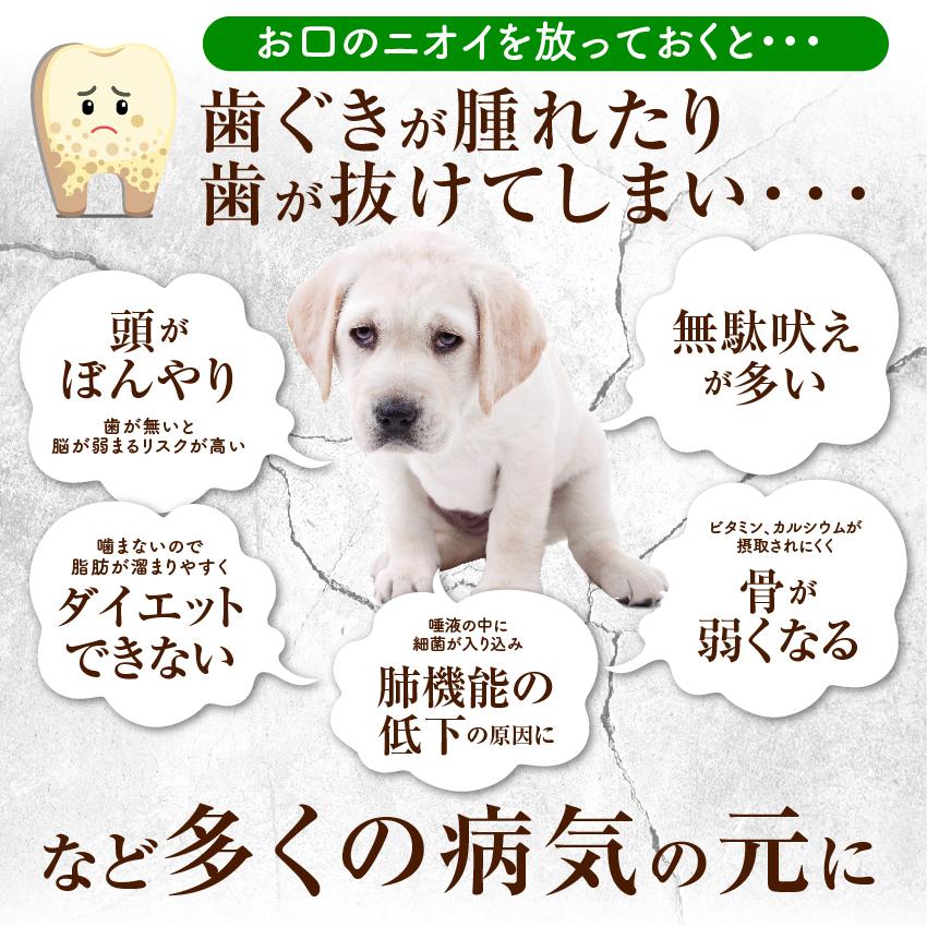 犬 猫の歯石 歯垢 口の臭いに 食べる歯磨き革命 お試し 歯磨きが苦手な犬用 無添加 サプリ メール便 送料無料 Chocolate3 犬のご飯とケーキのドッグダイナー 通販 Yahoo ショッピング