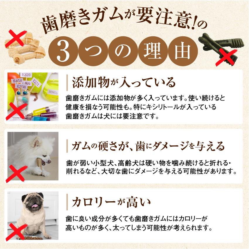 新 獣医も推奨 犬 猫の歯石 歯垢 口の臭いに 食べる歯磨き革命 お試し 歯磨きが苦手な犬用 無添加 サプリ 5g 小型犬 約10日分 Chocolate3 犬のご飯とケーキのドッグダイナー 通販 Yahoo ショッピング