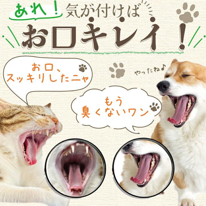 【新・獣医も推奨】犬・猫の歯石・歯垢・口の臭いに(食べる歯磨き革命 お試し)歯磨きが苦手な犬用 無添加 サプリ(5g・小型犬 約10日分)｜dogdiner｜07