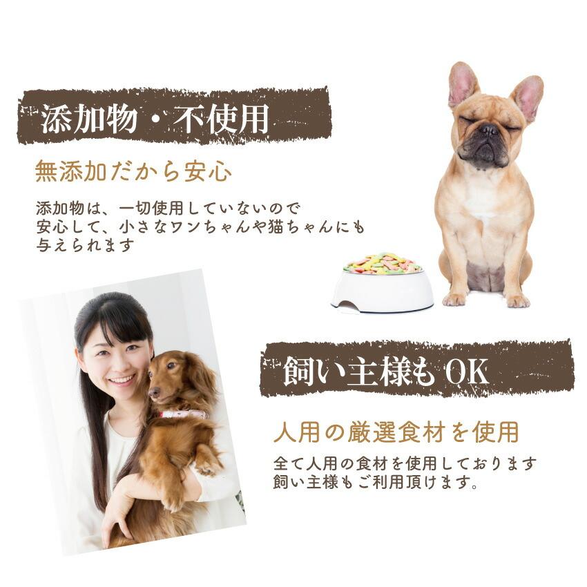 犬用 月見だんご 十五夜 団子 (無添加・天然)犬の手作りご飯｜dogdiner｜09