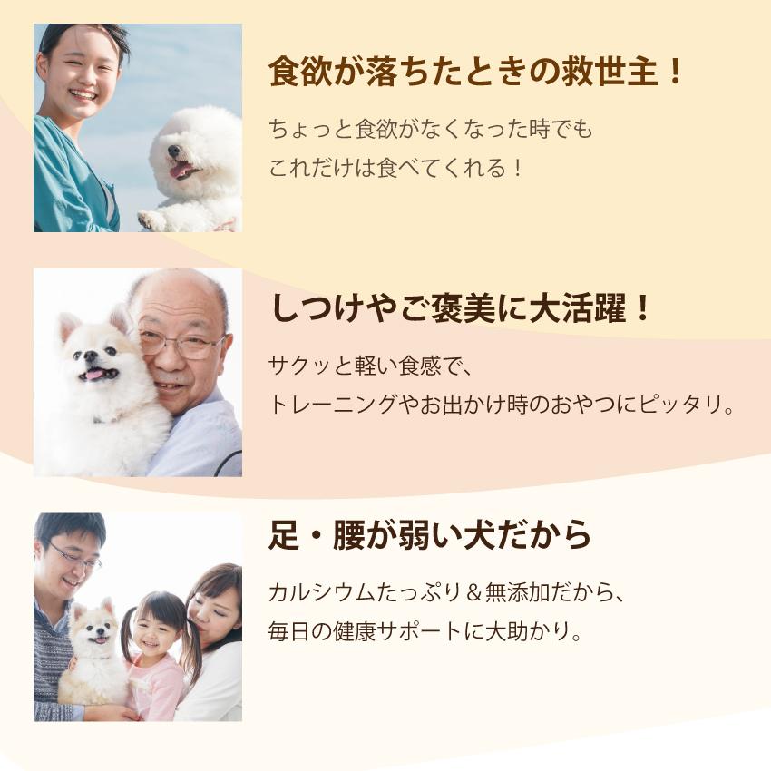 ドッグダイナー 牛乳の7倍 カルシウム 犬 猫 おやつ 無添加 チーズ
