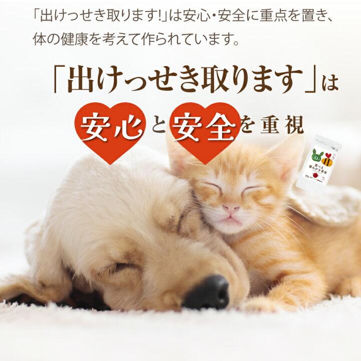 犬・猫用 サプリ(出けっせき(結石)取ります 30g)無添加｜dogdiner｜18