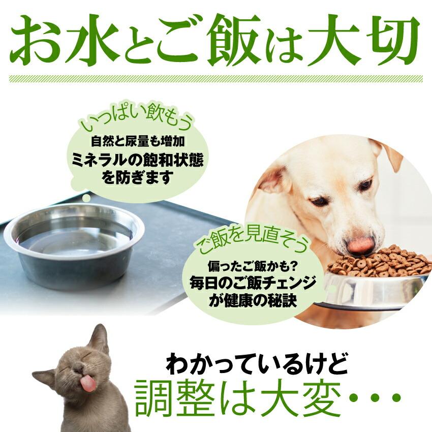 犬 猫用 サプリ 出けっせき 結石 取ります 無添加 メール便 送料無料 Healty12 2 犬のご飯とケーキのドッグダイナー 通販 Yahoo ショッピング