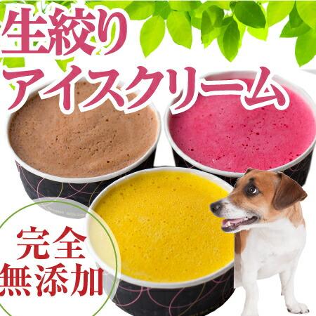 犬用 アイス 犬 生搾り アイスクリーム ５個 無添加 犬の水分補給 クール便 Ice5 犬のご飯とケーキのドッグダイナー 通販 Yahoo ショッピング