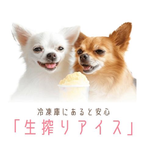 ドッグダイナー 犬用アイスクリーム 3個 無添加 国産 ヒューマン