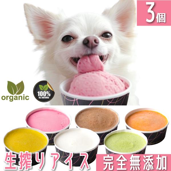 ドッグダイナー 犬用アイスクリーム 3個 無添加 国産 ヒューマン