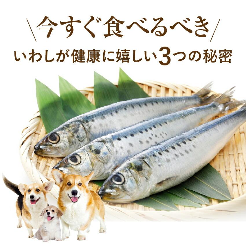 犬用 手作りご飯 魚 いわし ハンバーグ 2個入 無添加 国産 冷凍 Iwasibarg 犬のご飯とケーキのドッグダイナー 通販 Yahoo ショッピング