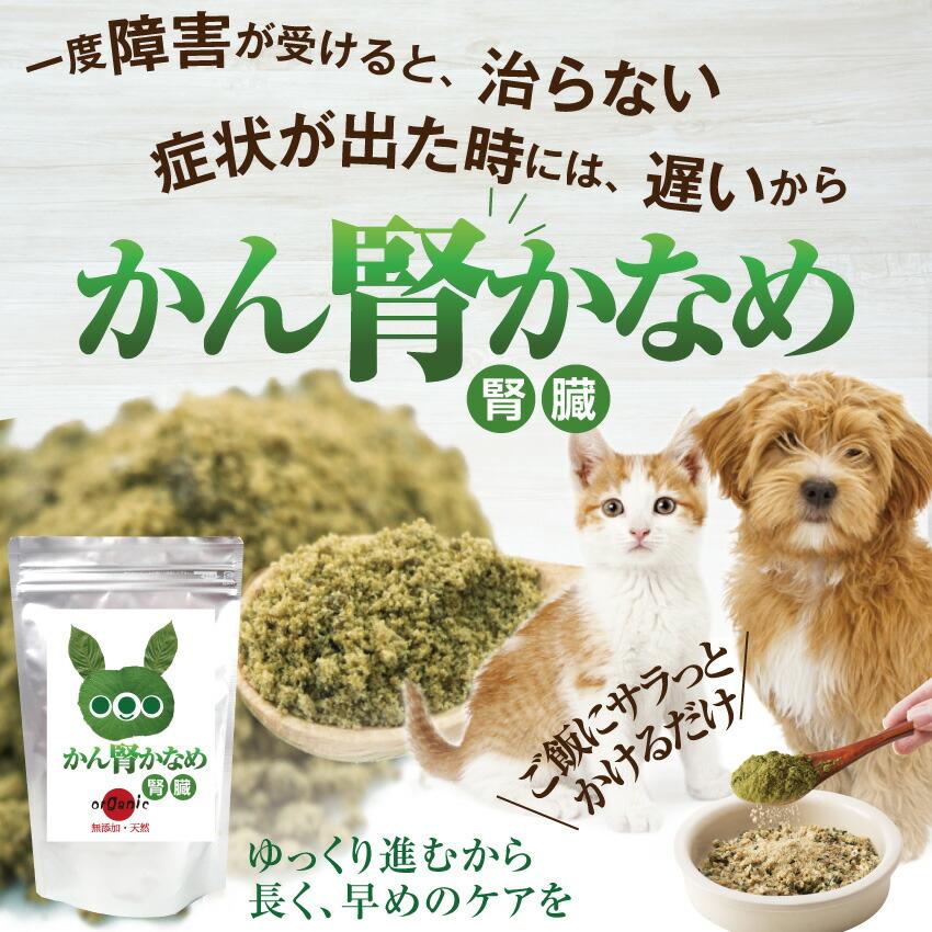 ドッグダイナー 犬 猫 腎臓 サプリドッグダイナー かん腎かなめ 30g