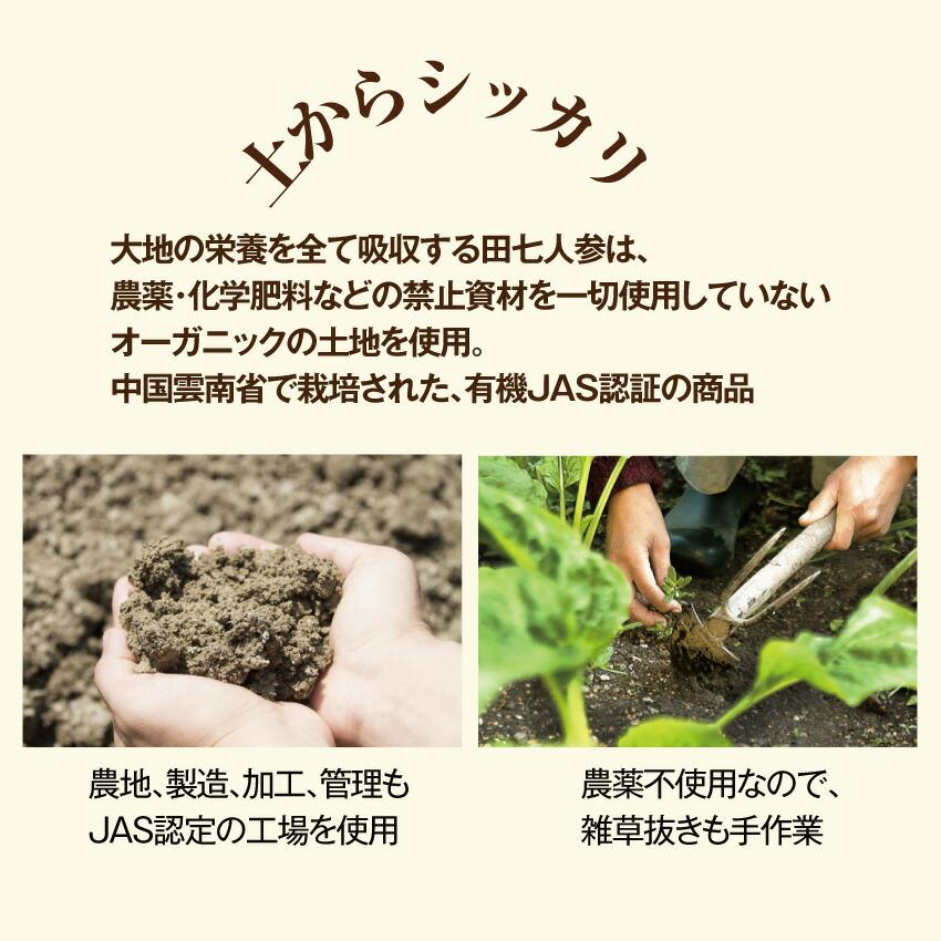 ドッグダイナー 犬 猫 腎臓 サプリドッグダイナー かん腎かなめ 30g