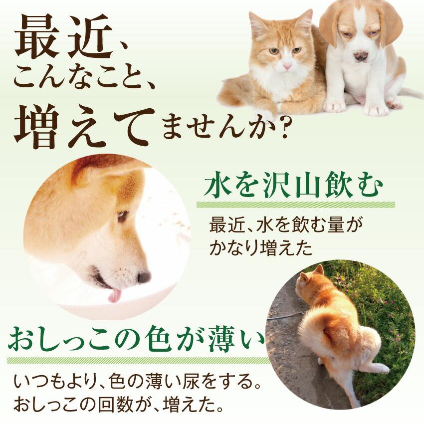 ドッグダイナー 犬 猫 腎臓 サプリドッグダイナー かん腎かなめ 30g