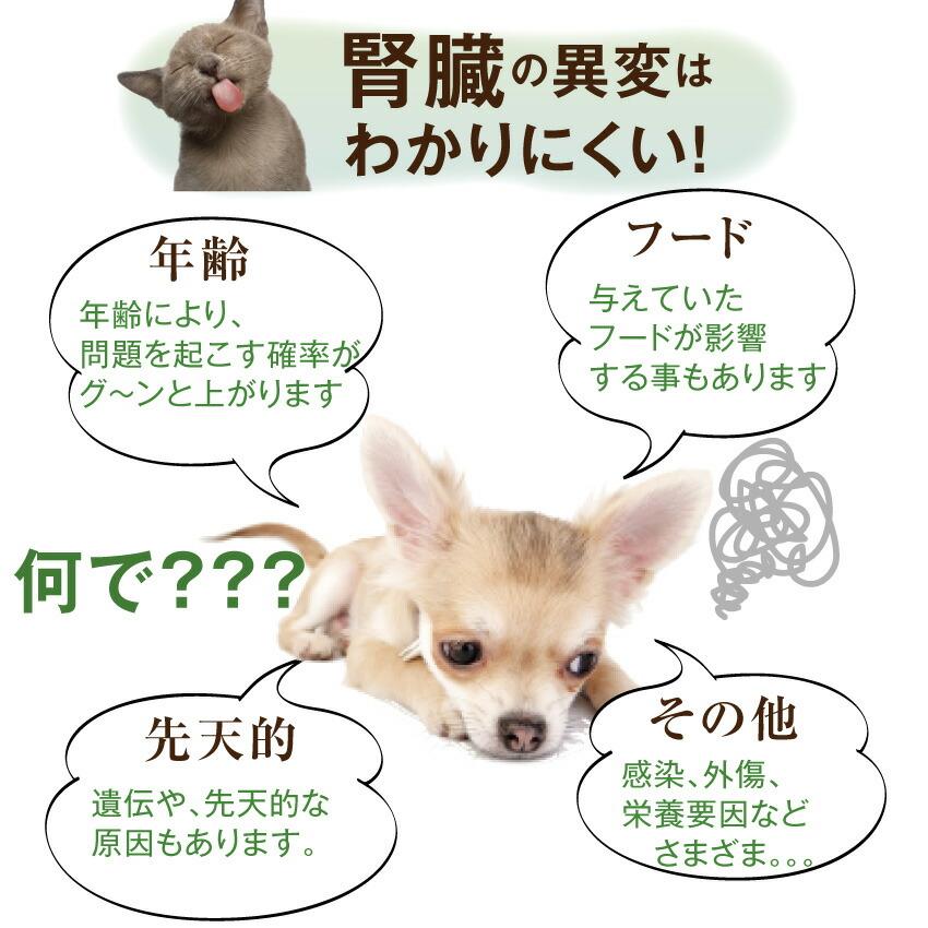 ドッグダイナー 犬 猫 腎臓 サプリドッグダイナー かん腎かなめ 30g