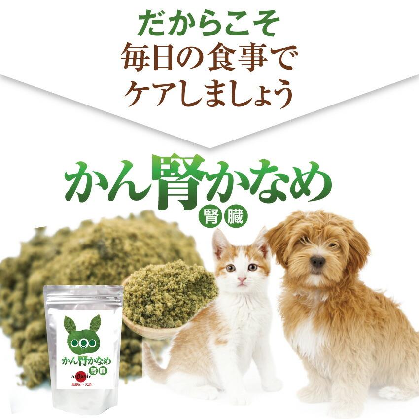 ドッグダイナー 犬 猫 腎臓 サプリドッグダイナー かん腎かなめ 30g