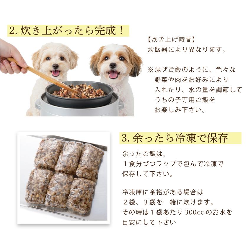 ドッグダイナー 無添加 ぽちの釜飯 10袋 国産 手作り ドッグフード