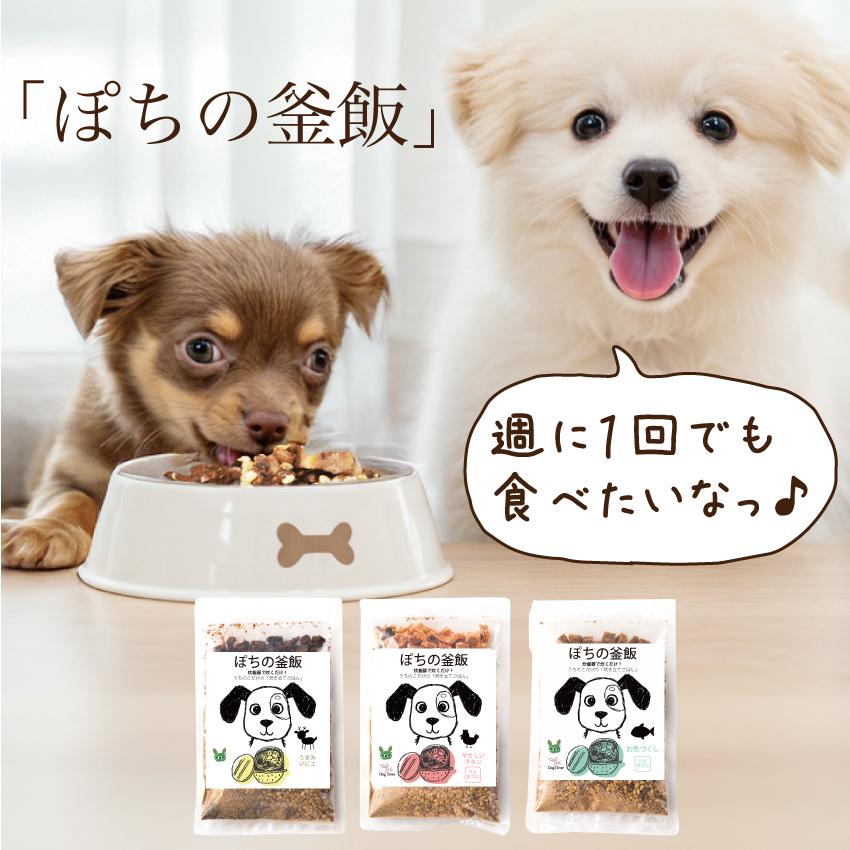 ドッグダイナー 無添加 ぽちの釜飯 10袋 国産 手作り ドッグフード
