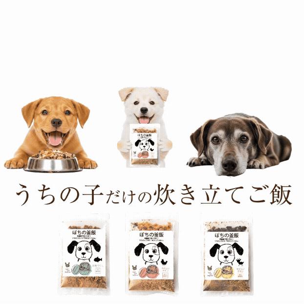 ドッグダイナー 無添加 ぽちの釜飯 10袋 国産 手作り ドッグフード