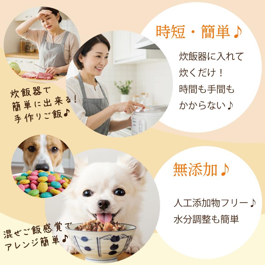 ドッグダイナー 無添加 ぽちの釜飯 10袋 国産 手作り ドッグフード
