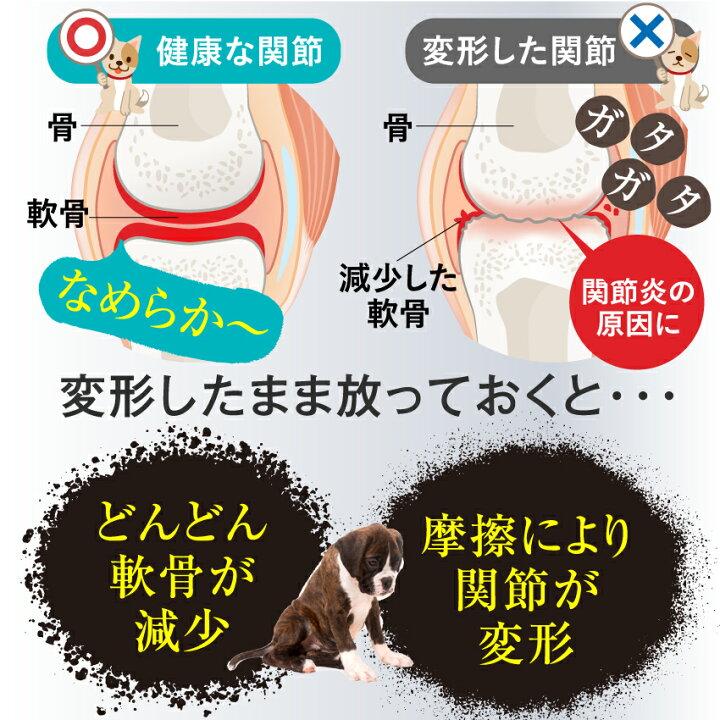 ドッグダイナー 犬 猫用 骨 関節 軟骨 腰に 無添加 サプリ 骨のたね
