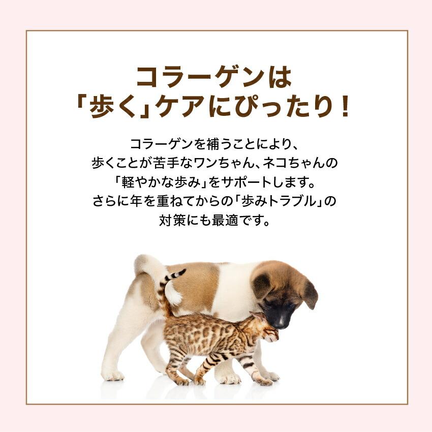 犬 猫 毛や皮膚のケア サプリ つやつや コラーゲン 0g 無添加 メール便 送料無料 Kora0 犬のご飯とケーキのドッグダイナー 通販 Yahoo ショッピング