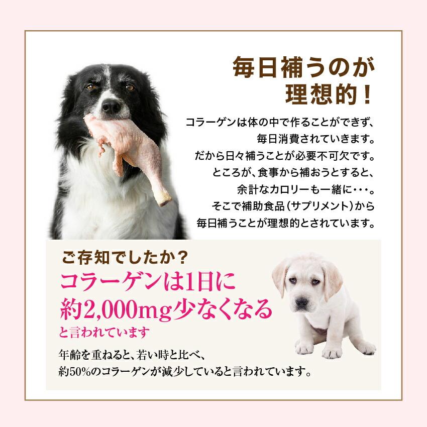 犬 猫 毛や皮膚のケア サプリ つやつや コラーゲン 0g 無添加 メール便 送料無料 Kora0 犬のご飯とケーキのドッグダイナー 通販 Yahoo ショッピング