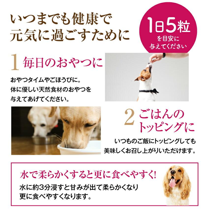 犬 滋養強壮 漢方 クコの実 100g 犬のおやつ トッピングに100種以上のビタミンを メール便 送料無料 Kuko100 犬のご飯とケーキのドッグダイナー 通販 Yahoo ショッピング