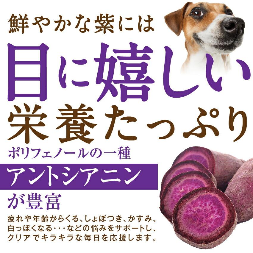 犬 涙焼けのケア おやつ(目に良いせんべい 10袋)無添加 国産【通常便 送料無料】｜dogdiner｜10