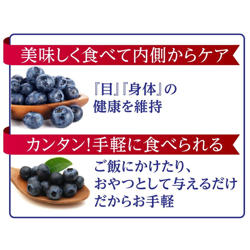 開店祝い 犬 ペットの目 に 有機 無添加 ブルーベリー ワイルドブルーベリー 1袋100g 3袋 おやつ 通常便 送料無料 最安値に挑戦 Centrodeladultomayor Com Uy