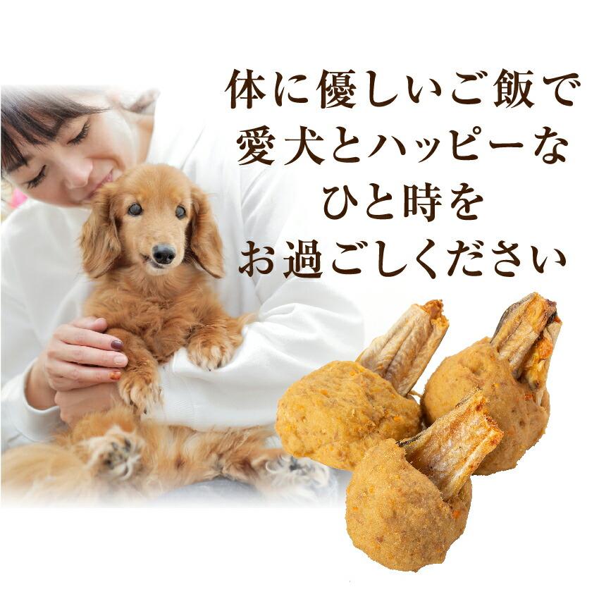 犬 手作りご飯 犬用 ギャートルズの肉 ミニ ３本入 無添加 国産 冷凍 マンガ肉 まんが肉 Nikumansale 犬のご飯とケーキのドッグダイナー 通販 Yahoo ショッピング