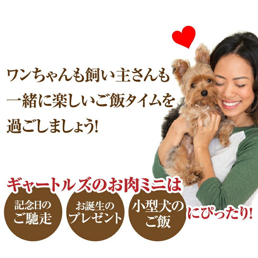犬 手作りご飯 犬用 ギャートルズの肉 ミニ ３本入 無添加 国産 冷凍 マンガ肉 まんが肉 Nikumansale 犬のご飯とケーキのドッグダイナー 通販 Yahoo ショッピング