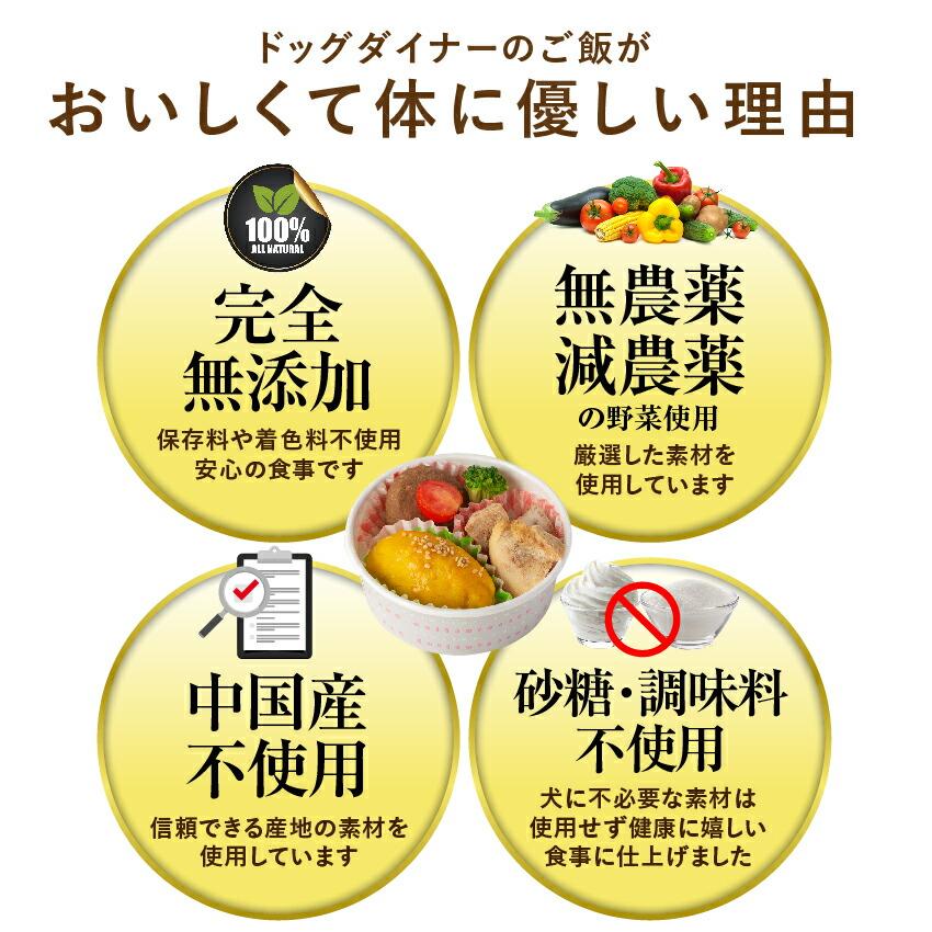 ドッグダイナー 犬用 手作りご飯 カフェセット ハンバーグ スイート